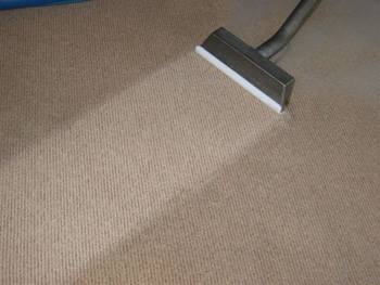 cheap carpet cleaners in eastbourne