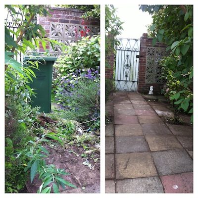 garden clearance and gardening services eastbourne